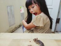 Mouse In The House With Baby? Safe & Fast Removal Tips!