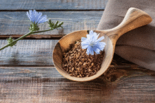 Is It Safe To Eat Chicory During Pregnancy?
